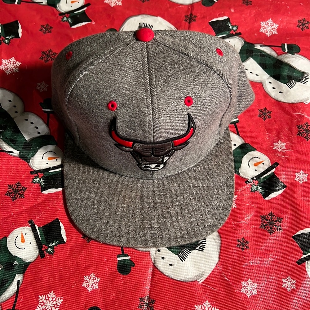 Chicago Bulls Mitchell & Ness Hardwood Classics Tonal Snapback Hat - Gray